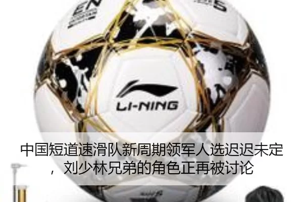 中国短道速滑队新周期领军人选迟迟未定，刘少林兄弟的角色正再被讨论